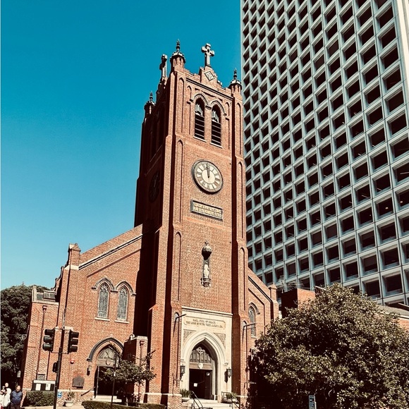 Meet your Posher, Scarlett - Picture 5 of 7